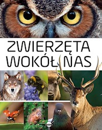 Zwierzęta wokół nas Encyklopedia ilustrowana - Skrok Anna - książka