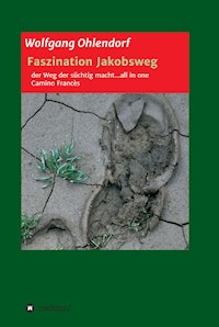 Faszination Jakobsweg - der Weg der süchtig macht...all in one - Wolfgang Ohlendorf - ebook