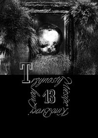 Trzynasty miesiąc Kino braci Quay -  - książka