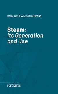 Steam - Babcock & Wilcox Company - ebook