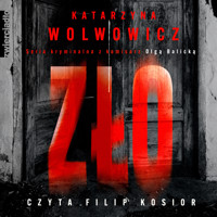 Zło - Wolwowicz Katarzyna - ebook + audiobook + książka