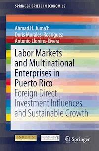 Labor Markets and Multinational Enterprises in Puerto Rico - Ahmad H. Juma'h - ebook