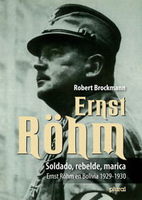 Soldado, rebelde, marica - Robert Brockmann S. - ebook