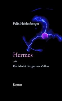 Hermes oder Die Macht der grauen Zellen - Felix Heidenberger - ebook