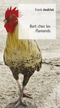Bart chez les Flamands - Frank Andriat - ebook