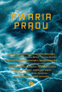 Awaria prądu - Dagmara Adwentowska, Aleksandra Bednarska, Agnieszka Biskup, Kamila Bryksy, Paulina Hendel, Karolina Mangusta Kaczkowska, Monika Kowalska, Agnieszka Kuchmister, Agnieszka Kwiatkowska, Katarzyna Berenika Miszczuk, Anna Musiałowicz, Sandra Gatt Osińska, Magdalena Sobota, Paulina Stępień, Agata Suchocka, Flora Woźnica, Klaudia Zacharska - ebook + audiobook