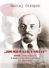 Zdumiewający świat - Chłopek Maciej - książka