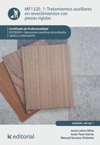 Tratamientos auxiliares en revestimientos con piezas rígidas. EOCB0209 - Jesús Lahoz Oliva - ebook