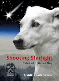Shooting Starlight - Christine Goeb-Kümmel - ebook