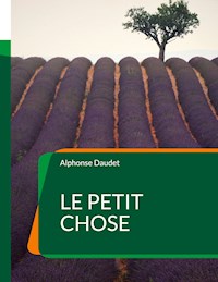 Le Petit Chose - Alphonse Daudet - ebook