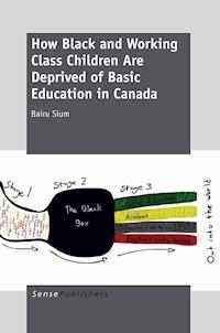 How Black and Working Class Children Are Deprived of Basic Education in Canada - Bairu Sium - ebook