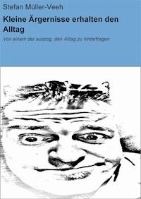 Kleine Ärgernisse erhalten den Alltag - Stefan Müller-Veeh - ebook