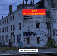 Agnes im Grauen gefangen - Matthias Maschle - ebook