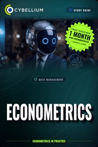 Econometrics - Cybellium - ebook