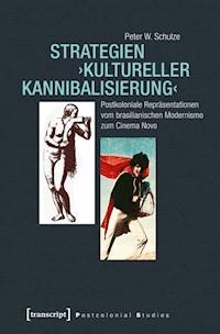 Strategien ›kultureller Kannibalisierung‹ - Peter W. Schulze - ebook