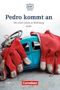 Die DaF-Bibliothek: Pedro kommt an, A2/B1 - Christian Baumgarten - ebook