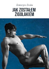 Jak zostałem żigolakiem - Sroka Seweryn - książka