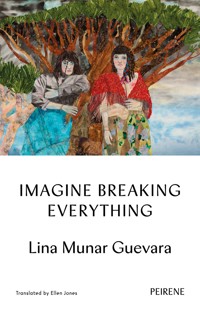 IMAGINE BREAKING EVERYTHING - Lina Munar Guevara - ebook