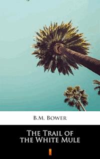 The Trail of the White Mule - B.M. Bower - ebook