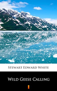 Wild Geese Calling - Stewart Edward White - ebook