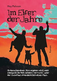 Im Eifer der Jahre - Hey Palsson - ebook