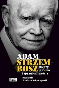 Między prawem i sprawiedliwością - Adam Strzembosz, Stanisław Zakroczymski - ebook