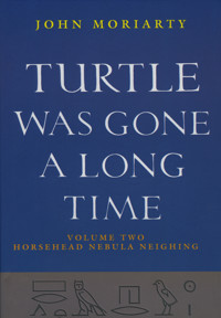 Turtle Was Gone A Long Time Vol.2 - John Moriarty - ebook