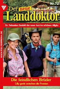 Die feindlichen Brüder - Tessa Hofreiter - ebook