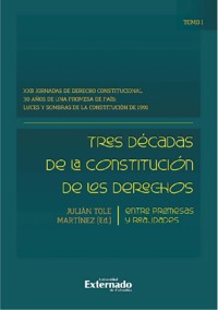 Tres décadas de la constitución de los derechos: entre promesas y realidades - Julían Tole Martínez - ebook