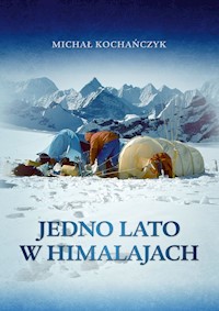 Jedno lato w Himalajach - Kochańczyk Michał - książka
