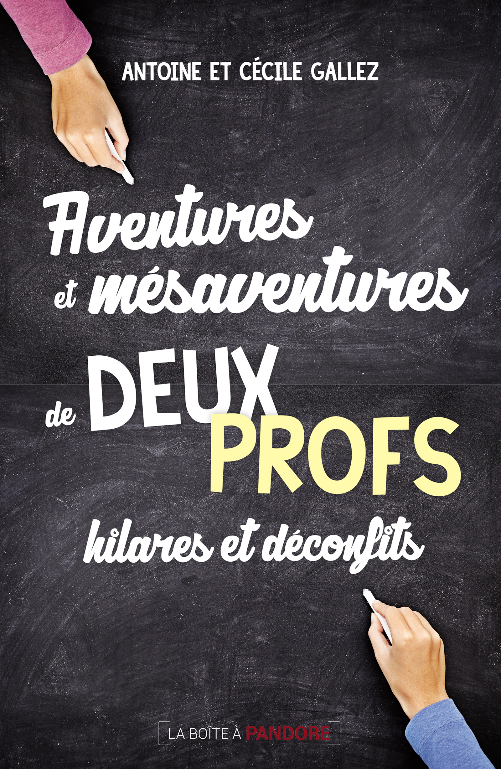 Aventures et mésaventures de deux profs hilares et déconfits - Antoine Gallez - ebook