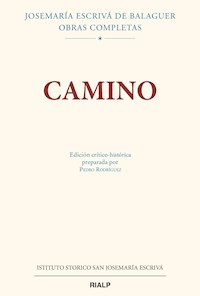Camino. Edición crítico-histórica - Pedro Rodríguez García - ebook