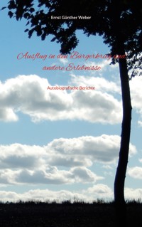 Ausflug in den Bürgerkrieg und andere Erlebnisse - Ernst Günther Weber - ebook
