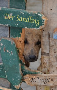 Der Sandling - Benjamin Vogt - ebook