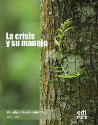 La crisis y su manejo - Roberto Puertas Ruiz - ebook