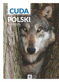 Cuda Polski Zwierzęta -  - książka