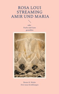 Rosa Loui; Streaming; Amir und Maria - Bruno H. Weder - ebook