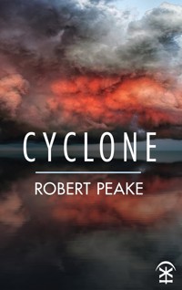 Cyclone - Robert Peake - ebook