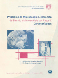 Principios de microscopía electrónica de barrido y microanálisis por rayos X característicos - Guillermina González Mancera - ebook