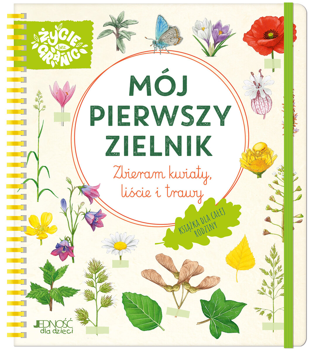 Mój pierwszy zielnik. Zbieram kwiaty, liście i trawy - Stefanie Zysk - książka
