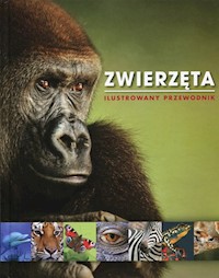 Zwierzęta Ilustrowany przewodnik -  - książka