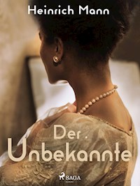 Der Unbekannte - Heinrich Mann - ebook