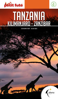 Tanzania, Kilimanjaro, Zanzíbar - VVAA - ebook