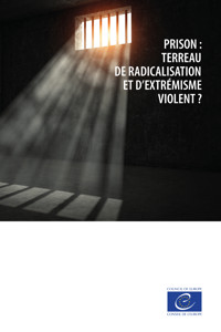 Prison : terreau de radicalisation et d’extrémisme violent ? - Conseil de l'Europe - ebook