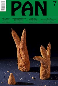 PAN 7 - VV. AA. - ebook