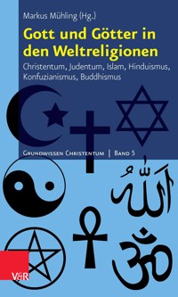 Gott und Götter in den Weltreligionen -  - ebook