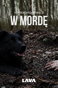 W mordę - Marek Miśkiewicz - ebook