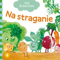 Na straganie - Jan Brzechwa - książka