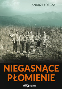 Niegasnące płomienie - Derza Andrzej - książka