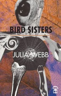 Bird Sisters - Julia Webb - ebook